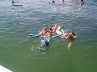 snorkeling in st.pete ,shell island