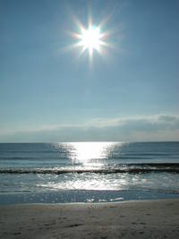 Photo taken Feb. 2005 at Treasure Island behind what was the Fargo Motel.