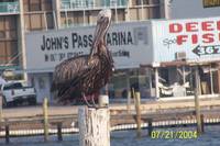 Hernandez 2004 Vacation
John's Pass Marina