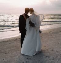 Heaven on Earth.

Phot taken behind the Holiday Inn, St. Pete Beach.